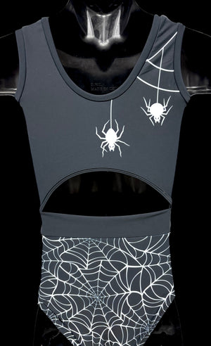 Spiderwebs